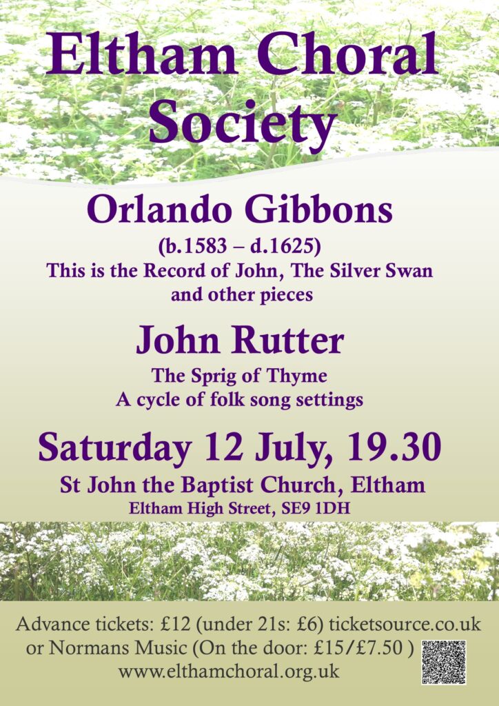 Summer Concert Poster